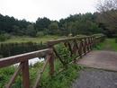 野鳥の池・木橋