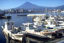 田子の浦港（漁船）