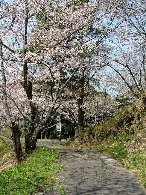 横地城跡（史跡内道路）