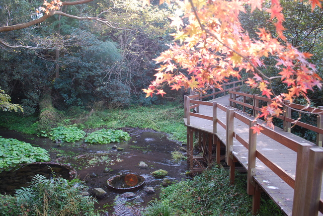 遊歩道（木製八ツ橋）