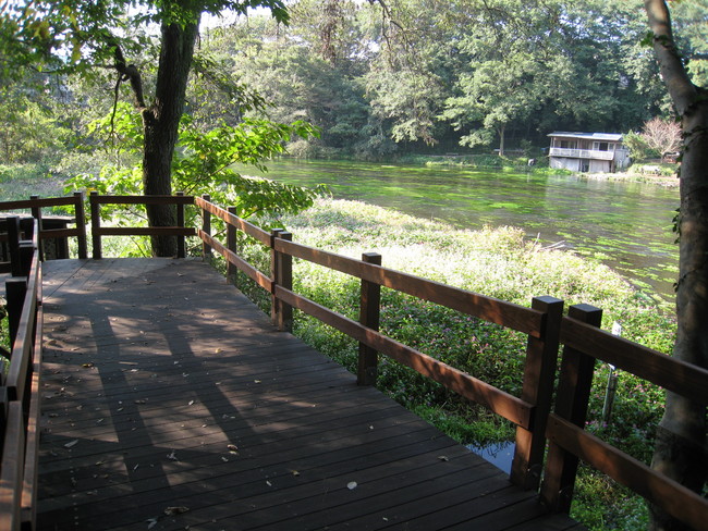 遊歩道（木製八ツ橋）