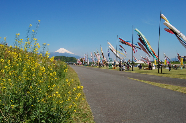 狩野川ふれあい広場