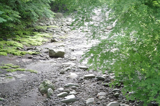 佐野川