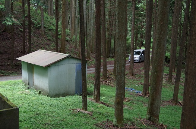 佐野川周辺林道4