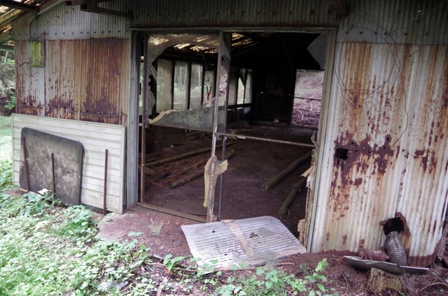 佐野川周辺林道（破れた小屋）