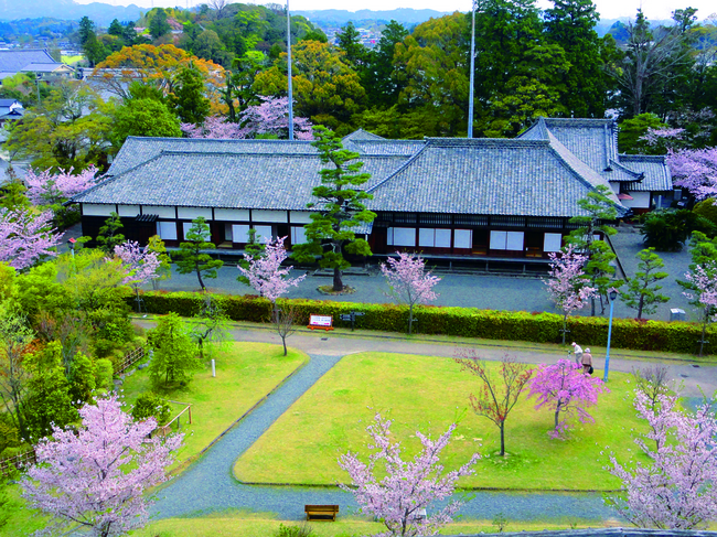 掛川城御殿
