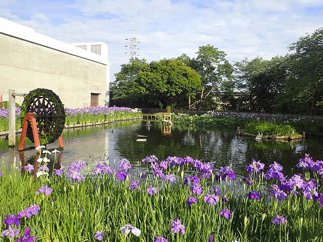 城北浄化センター