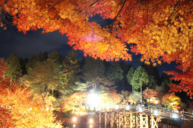 日本庭園