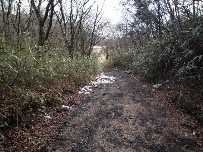 石切場跡(林道)
