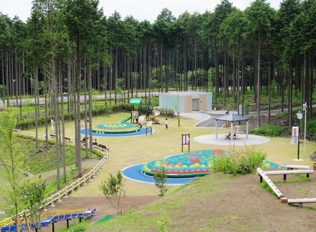 御殿場市富士山交流センター（富士山樹空の森＜冒険の丘・みずの広場＞）　冒険の丘