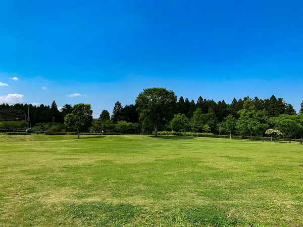広場