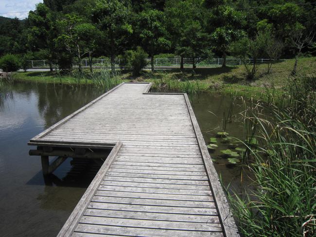 黒川自然園・木道