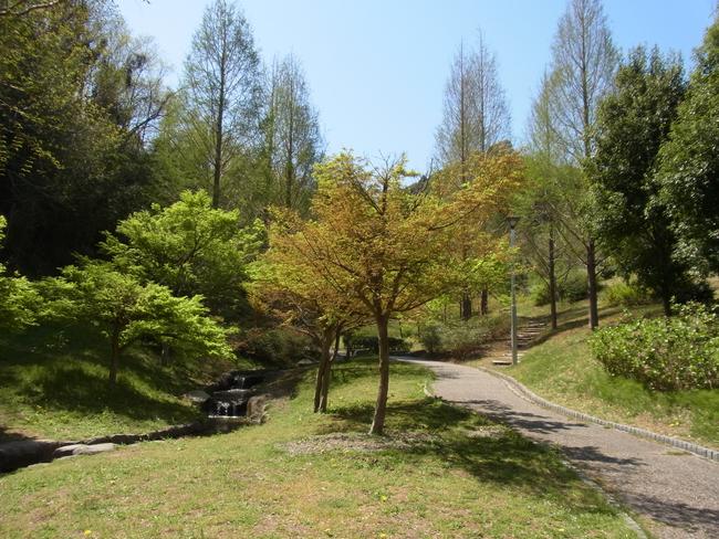 清水日本平運動公園　遊歩道