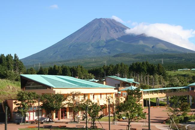 夏街の全景