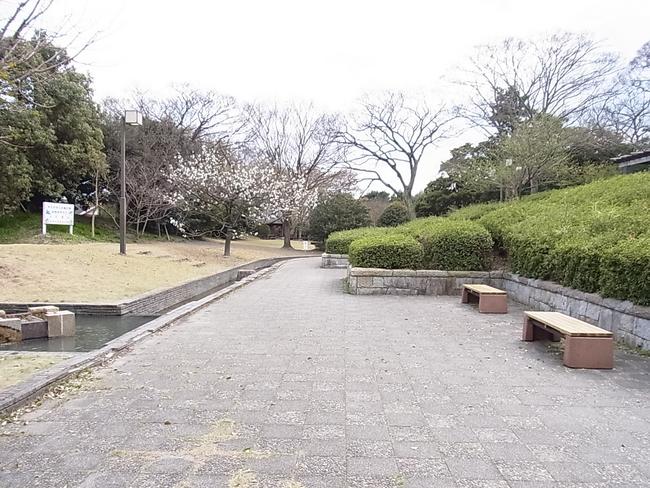 ベンチ