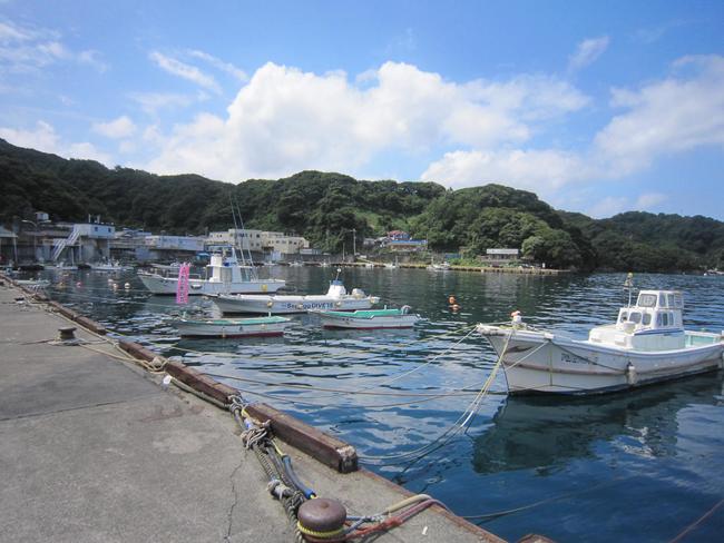 田子漁港