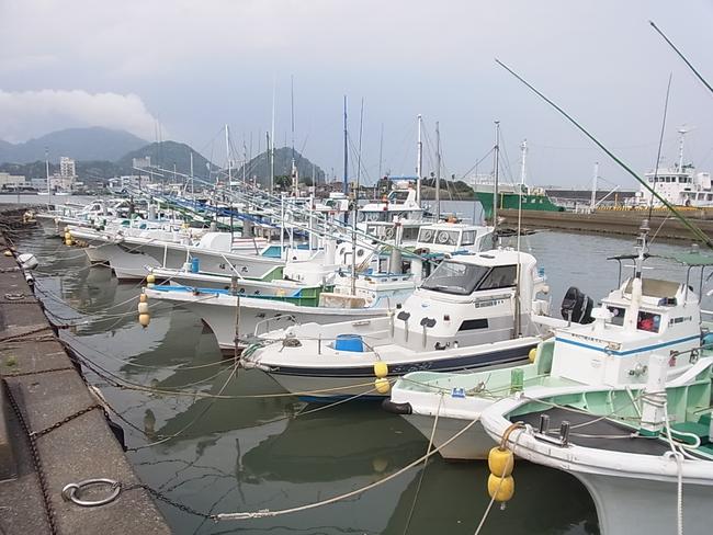 係留施設