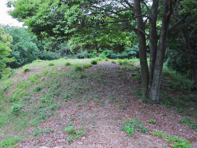 新豊院山古墳群 2号墳方向