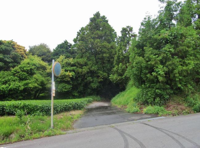 沢への入口