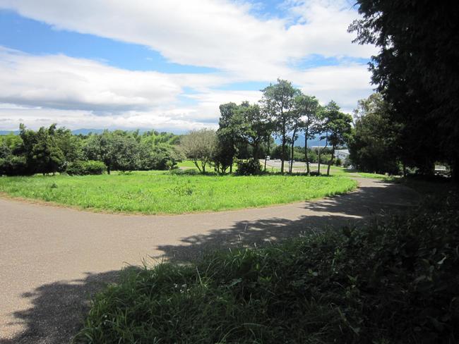 芝生公園