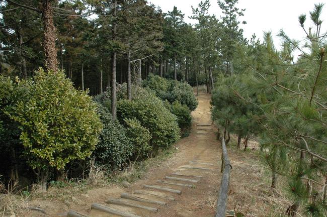 山道