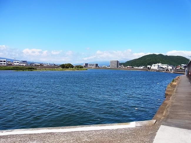 河口付近