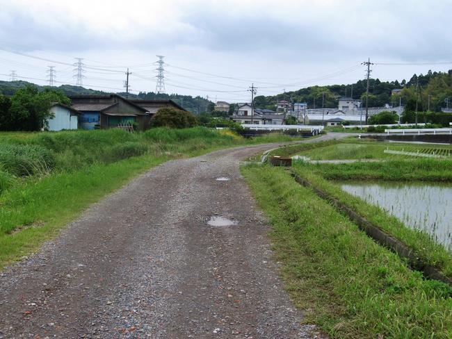 道路