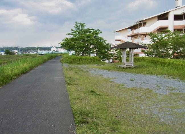 ベンチ