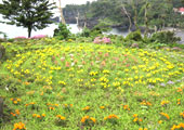 伊豆海洋公園３