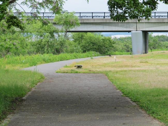 歩道・橋