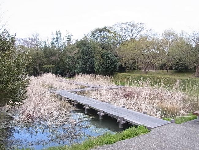 栃山川自然生態観察公園　木道　