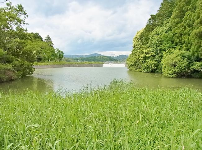 池