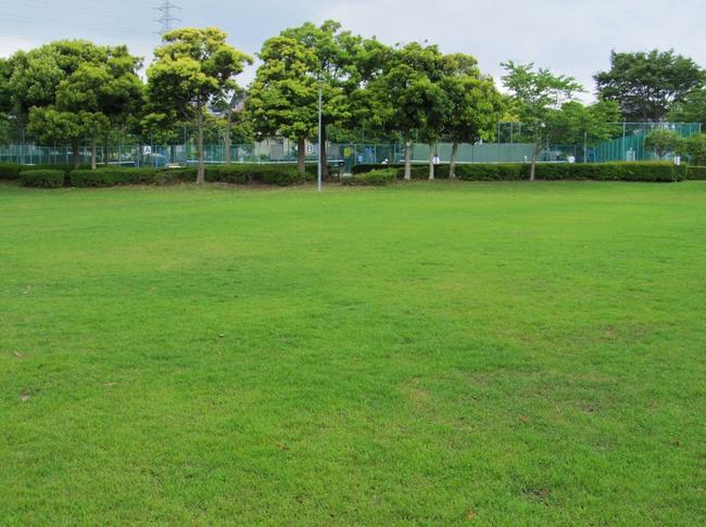 湯沢平公園　芝生広場