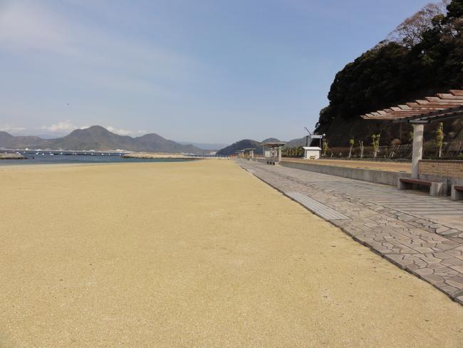 砂丘と歩道