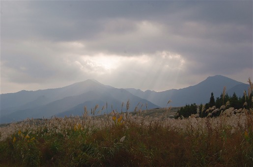 大野原(すすき野)