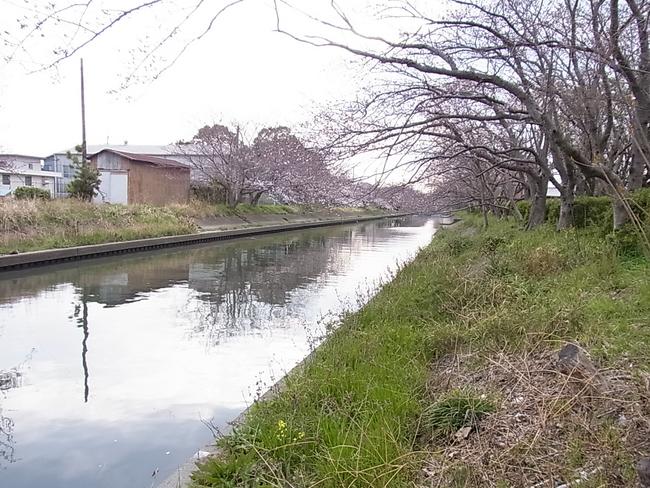 川沿い