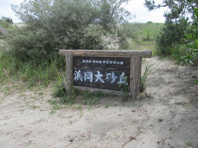 浜岡砂丘