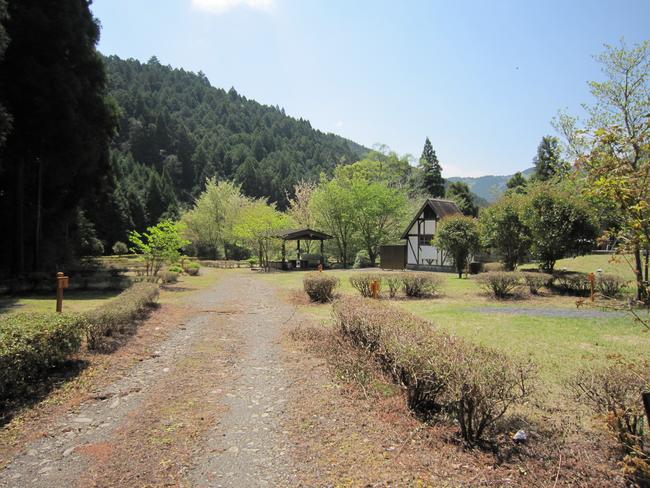 全景