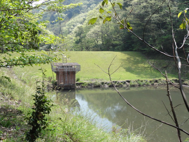 池
