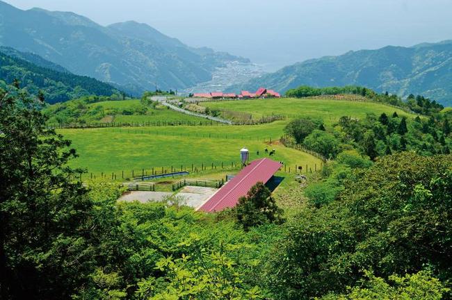 西天城高原  牧場全景
