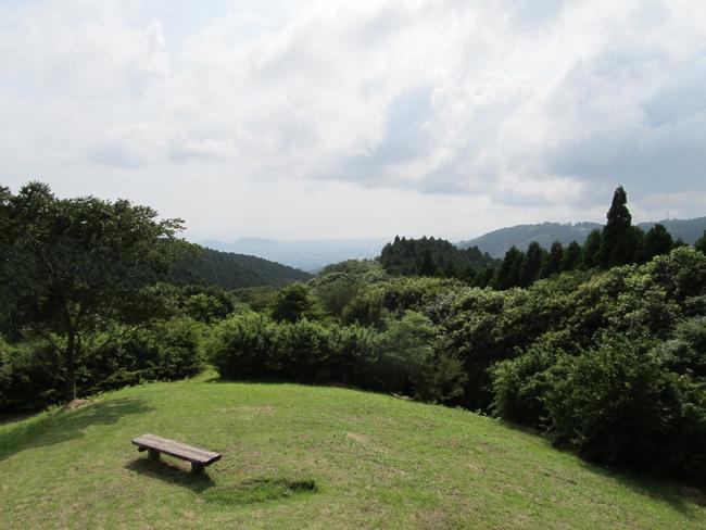 原生の森公園  展望台から