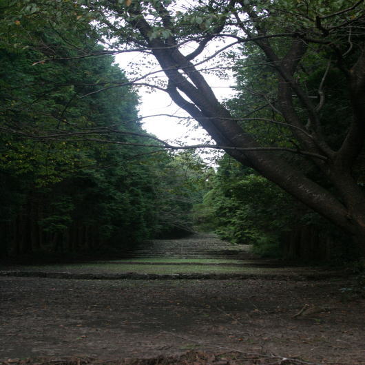 参道