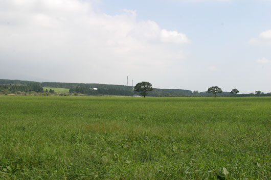 朝霧高原