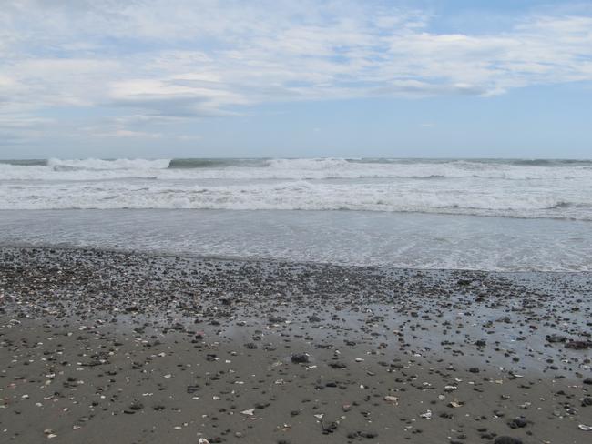 海岸