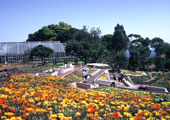 伊豆海洋公園１