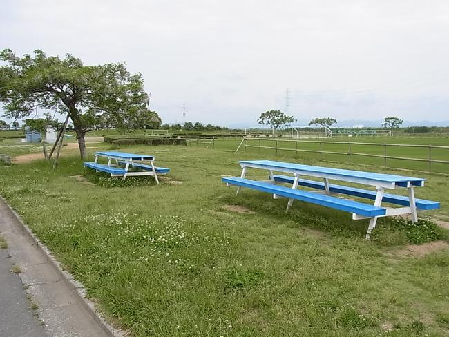 ベンチ