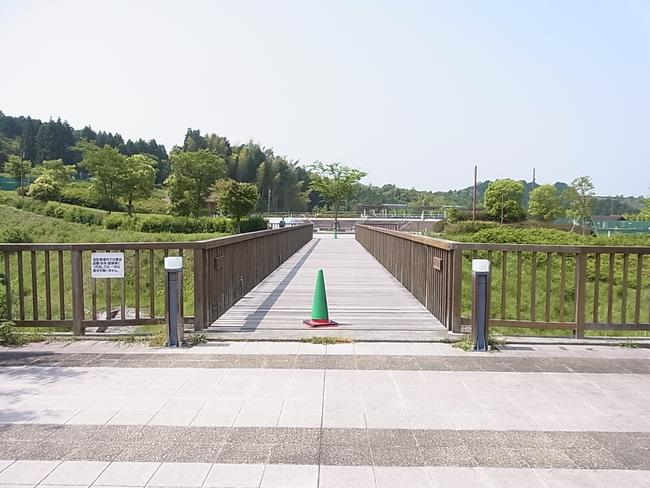 橋
