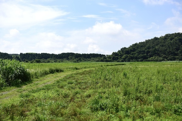 風景