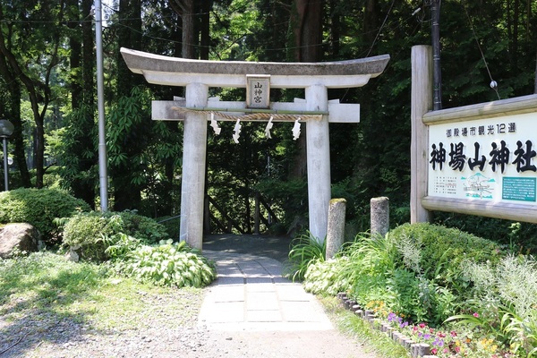 入口