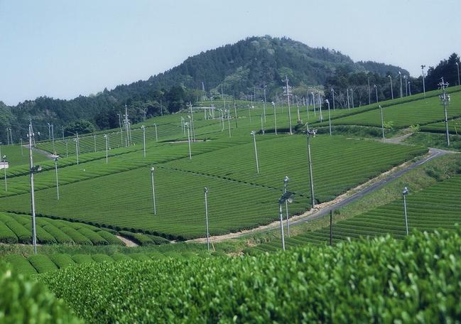 火剣山